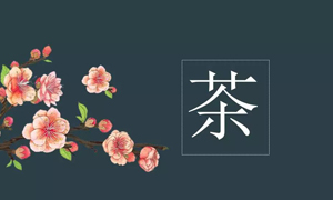 ǹɶԹ֮˲Ӫҵչڲ֪ʶѵ
